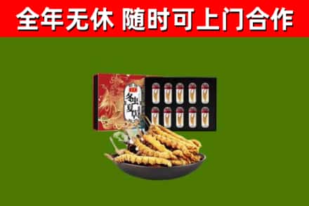 雨花回收冬虫夏草价格