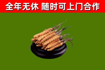 雨花烟酒回收冬虫夏草.jpg